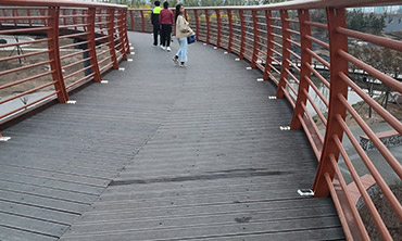 solar cat eye road stud